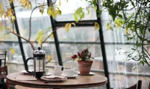 Konsep Coffee Shop, Gaya Hidup Modern yang Menjadi Ruang Kreatif