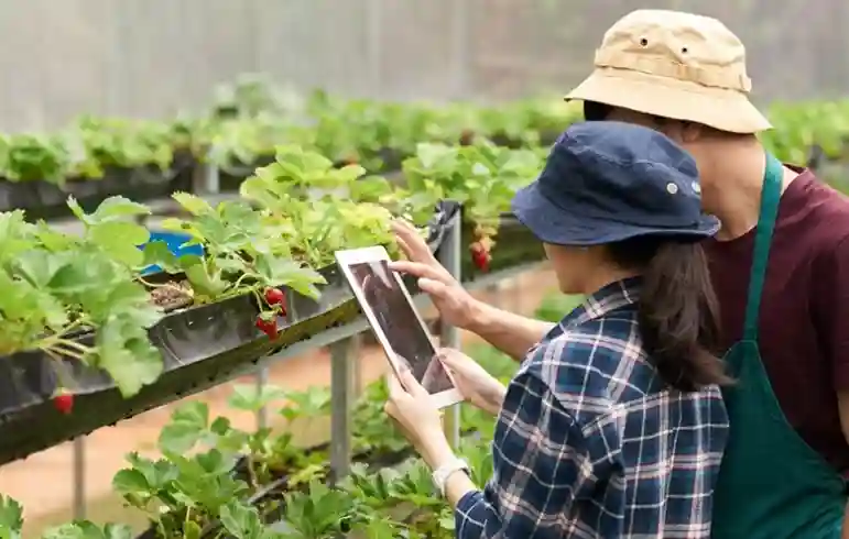 Agribisnis Organik dan Urban Farming Jadi Tren Bisnis 2025